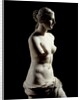 The Venus de Milo - Detail of a marble sculpture of Aphrodite by Anonymous