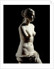 The Venus de Milo - Detail of a marble sculpture of Aphrodite by Anonymous