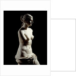 The Venus de Milo - Detail of a marble sculpture of Aphrodite by Anonymous