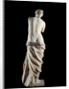 The Venus de Milo - Detail of a marble sculpture of Aphrodite by Anonymous