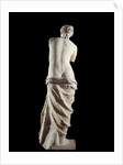 The Venus de Milo - Detail of a marble sculpture of Aphrodite by Anonymous