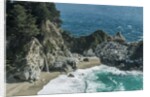 McWay Falls by Anonymous