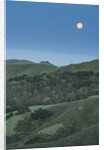 Full Moon Over the Central Coast by Anonymous
