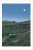 Full Moon Over the Central Coast by Anonymous