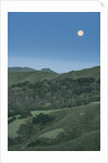Full Moon Over the Central Coast by Anonymous