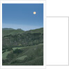 Full Moon Over the Central Coast by Anonymous
