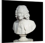 Bust of Francois Marie Arouet de Voltaire by Jean-Antoine Houdon