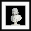 Bust of Francois Marie Arouet de Voltaire by Jean-Antoine Houdon