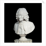Bust of Francois Marie Arouet de Voltaire by Jean-Antoine Houdon