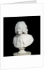 Bust of Francois Marie Arouet de Voltaire by Jean-Antoine Houdon