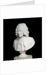 Bust of Francois Marie Arouet de Voltaire by Jean-Antoine Houdon