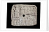 Votive Tablet Relief of Urnanshe, King of Lagash by Anonymous