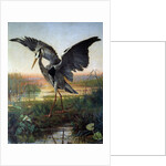 The Heron by Louis-Emile Villa