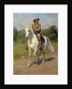 Portrait of William Frederick Cody nicknamed Buffalo Bill by Rosa Bonheur