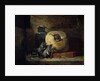 The Rat Who Retired from the World by Philippe Rousseau