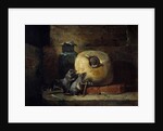 The Rat Who Retired from the World by Philippe Rousseau