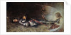 Joan of Arc Asleep by George William Joy