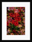 Red Flowers by Anonymous