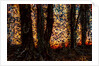 Trees by Anonymous