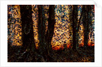 Trees by Anonymous