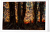 Trees by Anonymous