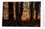 Trees by Anonymous