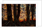 Trees by Anonymous