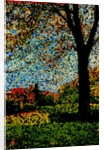 Park by Anonymous