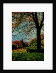 Park by Anonymous