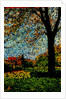 Park by Anonymous