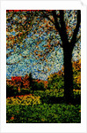 Park by Anonymous