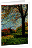 Park by Anonymous