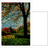 Park by Anonymous