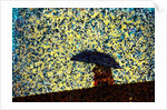 Raining by Anonymous