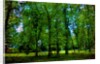 Green by Anonymous