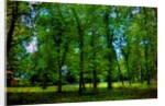 Green by Anonymous