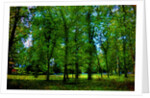 Green by Anonymous