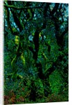 Green by Anonymous