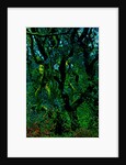 Green by Anonymous