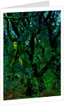 Green by Anonymous