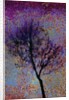 Tree by Anonymous