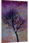 Tree by Anonymous