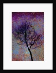 Tree by Anonymous