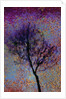 Tree by Anonymous
