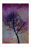 Tree by Anonymous