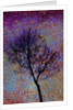 Tree by Anonymous