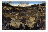 Hunt in honour of Charles Quint at the Hartenfels Castle near Torgau by Lucas Cranach the Elder