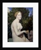 Venus at Paphos by Jean-Auguste-Dominique Ingres and Alexandre Desgoffes by Anonymous