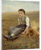 The little gleaner by Hugo Salmson