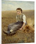 The little gleaner by Hugo Salmson